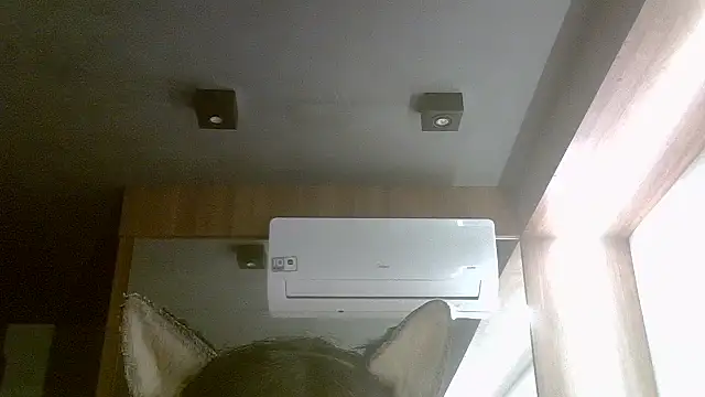 SkinnyKitten webcam