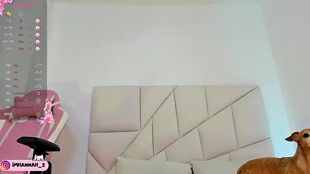 Imhann3 webcam