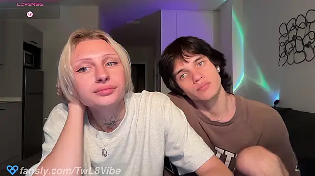 twl8vibe webcam