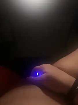 Nattiddlg webcam