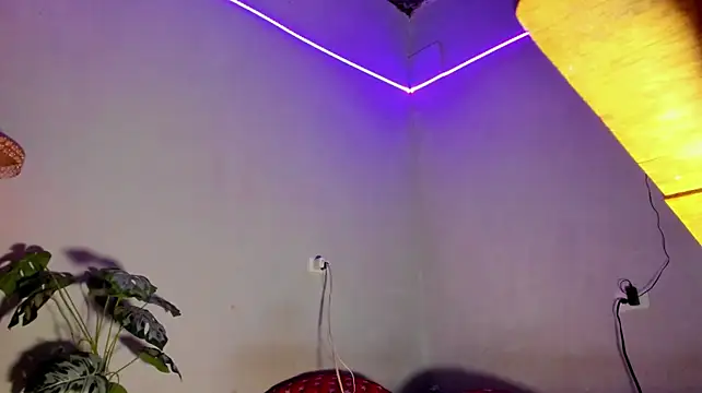 Owen_flin_ webcam