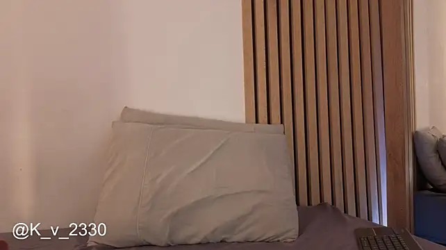 sofiesoft webcam