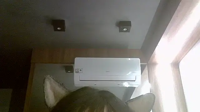 SkinnyKitten webcam