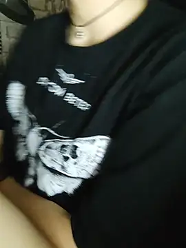Aashikalaa webcam