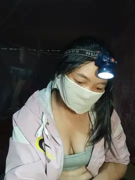Hiha-nn webcam