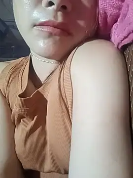 -Nibi- webcam