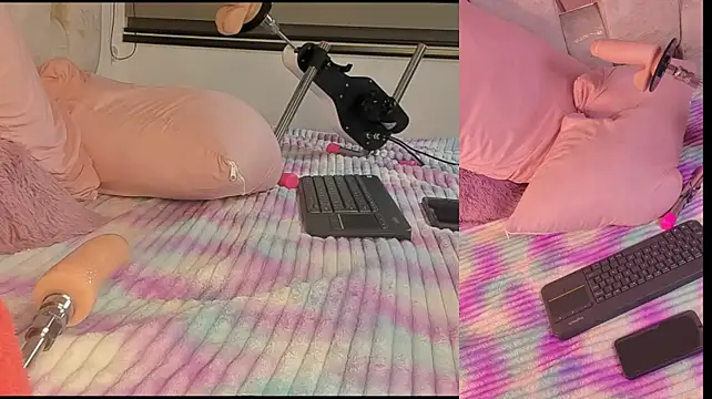 Emilyvalvet webcam