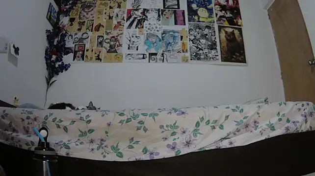 SAT--SU_U webcam