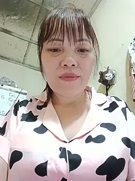 Sana-vn webcam