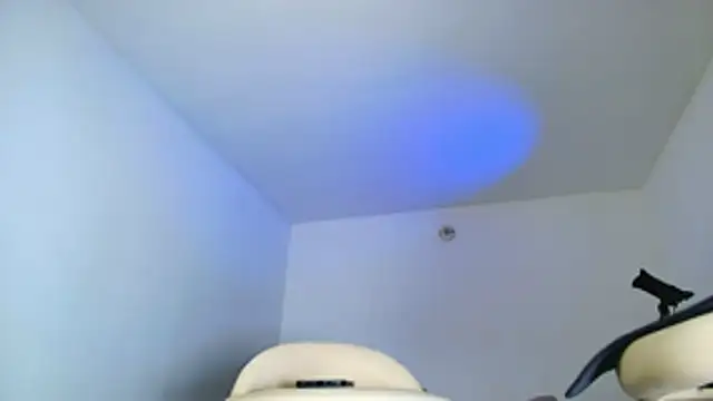 SARA_TS_FOX webcam