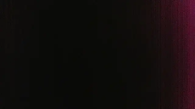Maskpor2022 webcam