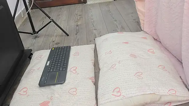 sven_basquia webcam