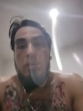 Lobo-chileno webcam