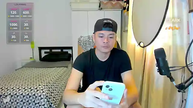 clarkdangerous webcam
