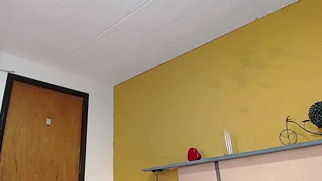 arnold_taylor webcam