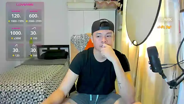 clarkdangerous webcam