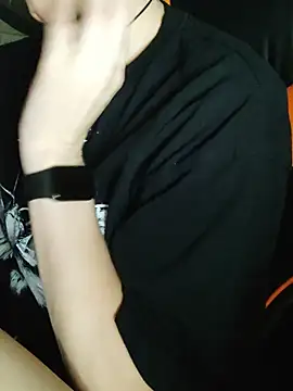 Aashikalaa webcam