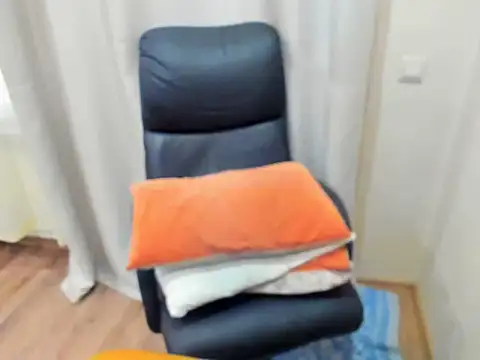 Ruda1919 webcam