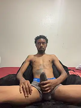 9blk webcam