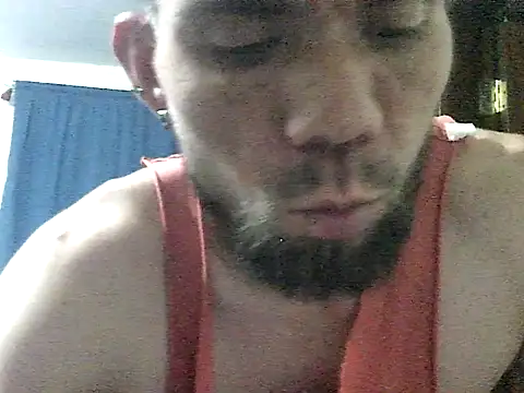 thomas2wood webcam