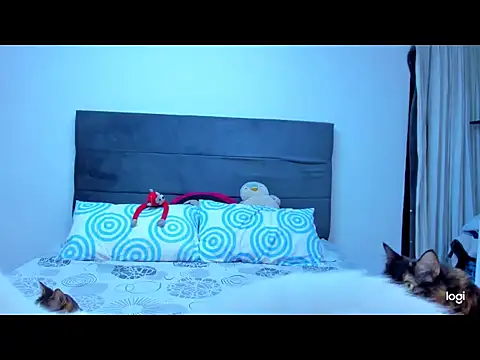 franshesca_000 webcam