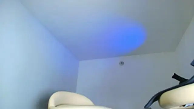 SARA_TS_FOX webcam