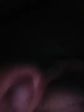 Renan1532