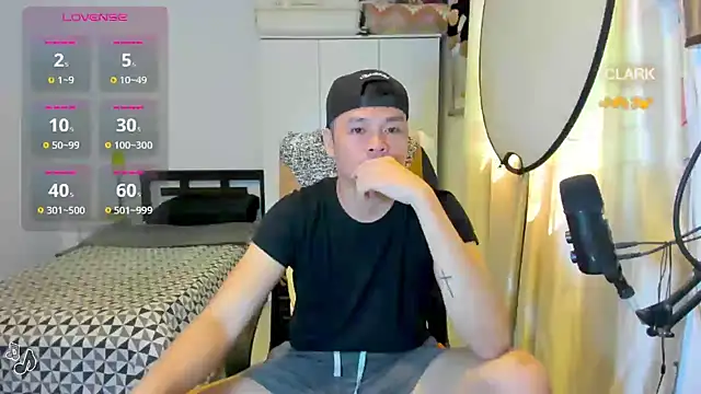 clarkdangerous webcam