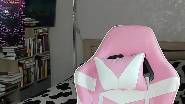 bbJ_one webcam