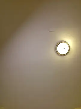 piggylatino webcam