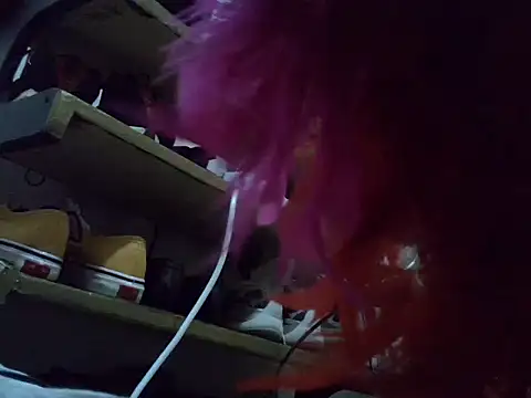 Quinlina webcam