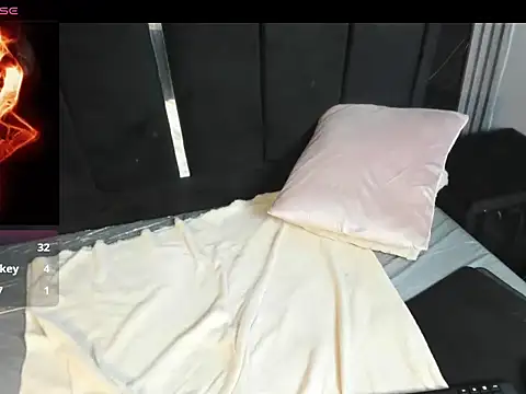AlixDream_HL webcam