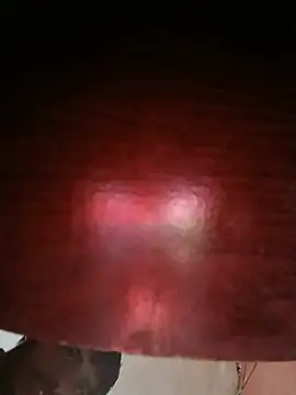 Sexilove7 webcam