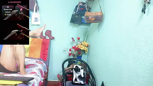 Xiaraa26 webcam