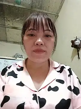 Sana-vn webcam