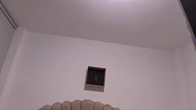 Katt_wild webcam