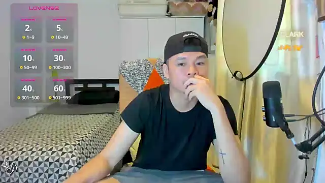 clarkdangerous webcam