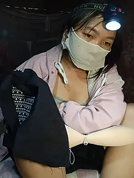 Hiha-nn webcam