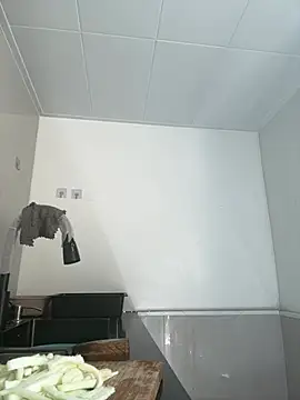 daaqnn webcam