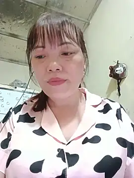 Sana-vn webcam