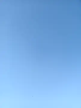 arousing3 webcam