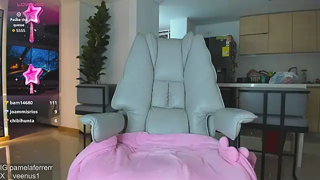 _veenus webcam