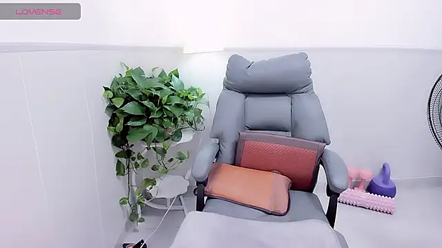 Wan-Yun-520 webcam