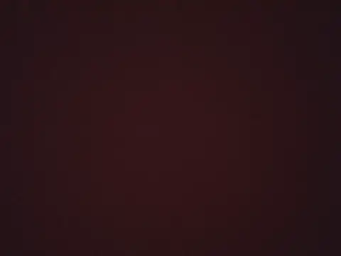 Rato250 webcam