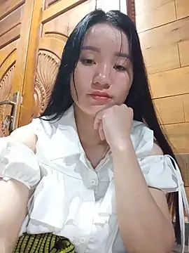 Td3di webcam
