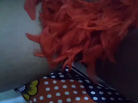 Quinlina webcam