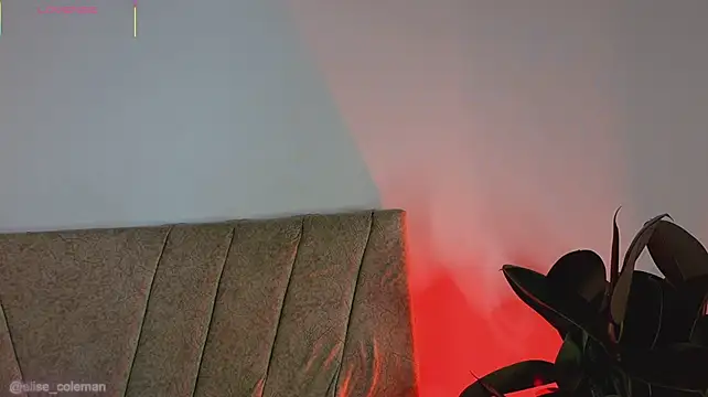 elisecoleman (F young) - Put my anal plug in.