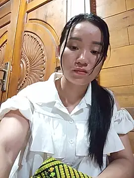 Td3di webcam