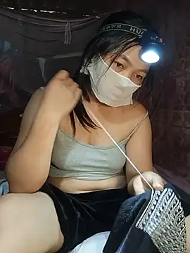 Hiha-nn webcam
