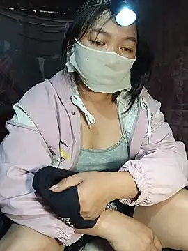 Hiha-nn webcam